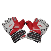 Рукавиці воротарські TOPHIGH р.10купити у Київі