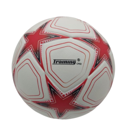 М яч футбольний TRAINING-CF02 №5