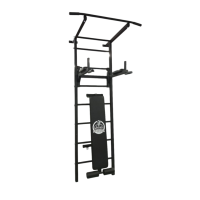 Шведська драбина (спортивна стінка, комплекс для спорту) з турником, брусами та лавкою для преса BAR2FITкупити у Київі