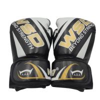 Рукавиці боксерські WSD beyond str 10 унц вініл чорнікупити у Київі