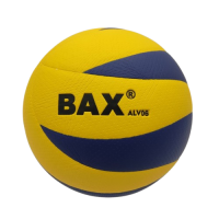 М`яч волейбольний ВАХ -ALV06 №5купити у Київі
